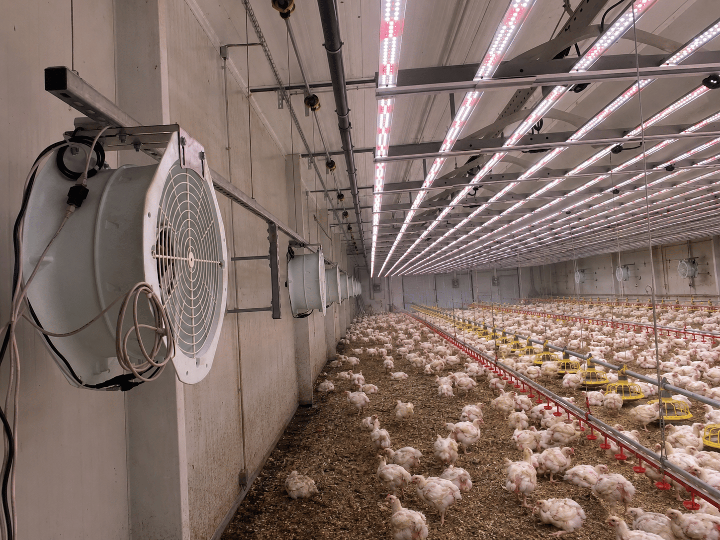 Landwirtschaft & Produktion – Lüftung und Filterung in Stall- und Produktionsumgebung